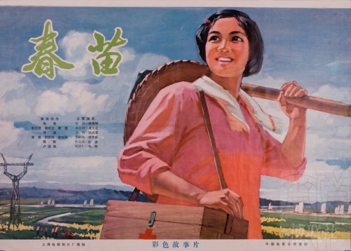 护土执业证书作假